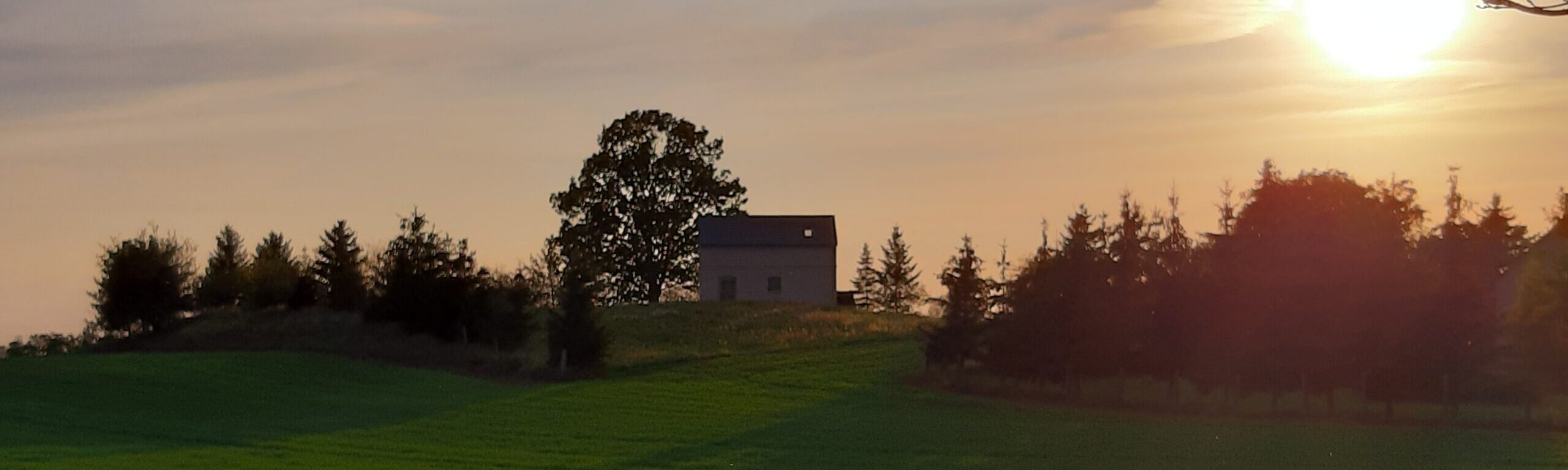 Mühlberg im Abendlicht (2)